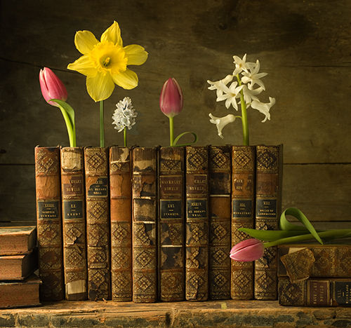 Some of Our Favorite Literary Quotes about Flowers